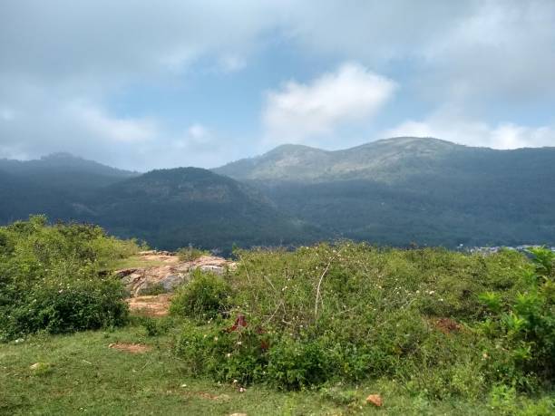 Yercaud Escape – 2 Days / 1 Night